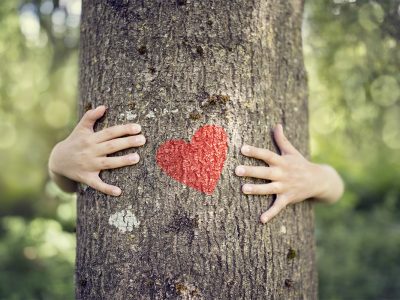 cdu-freiburg_umwelt_klimaschutz